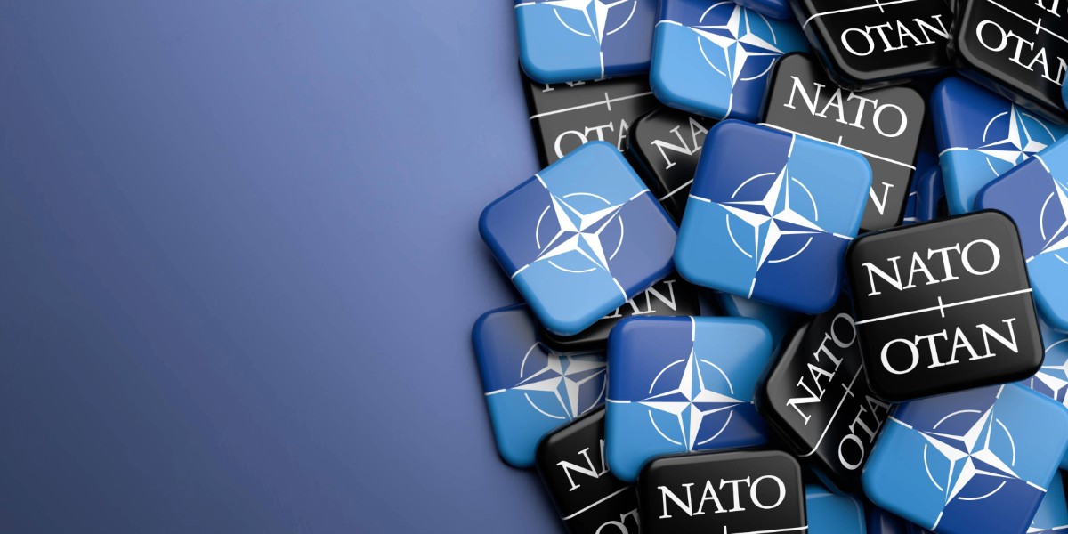A Better Path for Ukraine and NATO: What Kyiv Could Do Now for a Place in the Alliance